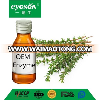 OEM English Thyme Enzyme herb extract Herbal Insect Itch Bites Pain Relief Massage liquid extract