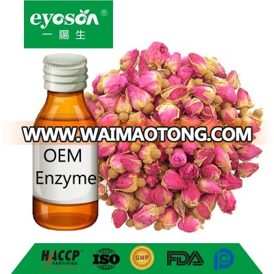 rose extract enzyme drinks